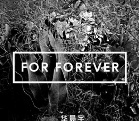 ֧ȫӢĵFor Forever